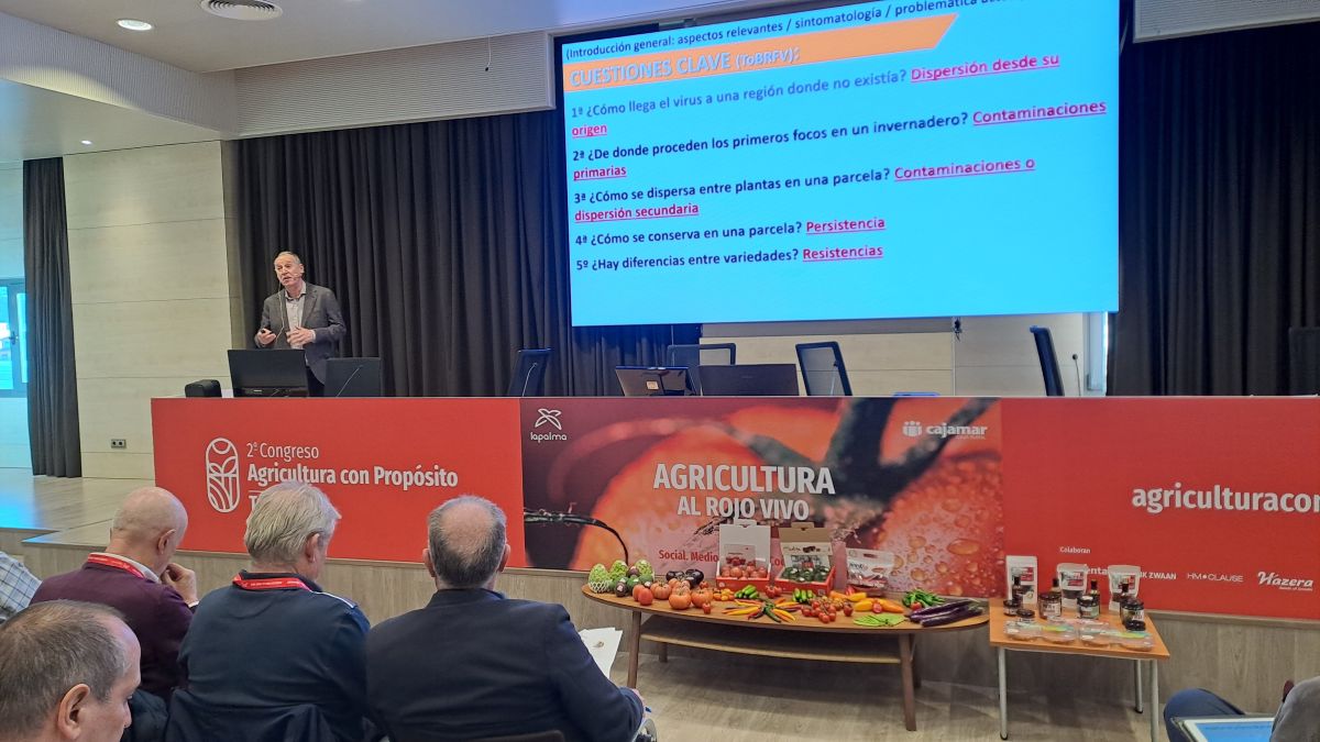 Antonio Montserrat b|David del Pino b|Gazquez b|general charlas b|general pica pica b|general pica pica b|Pere etc b|general charlas b|Rijk Zwaan|Rijk Zwaan b